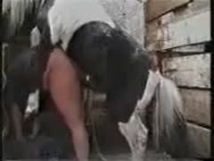 Drilling fuck-hungry Hungarian doxy enjoys in the stables